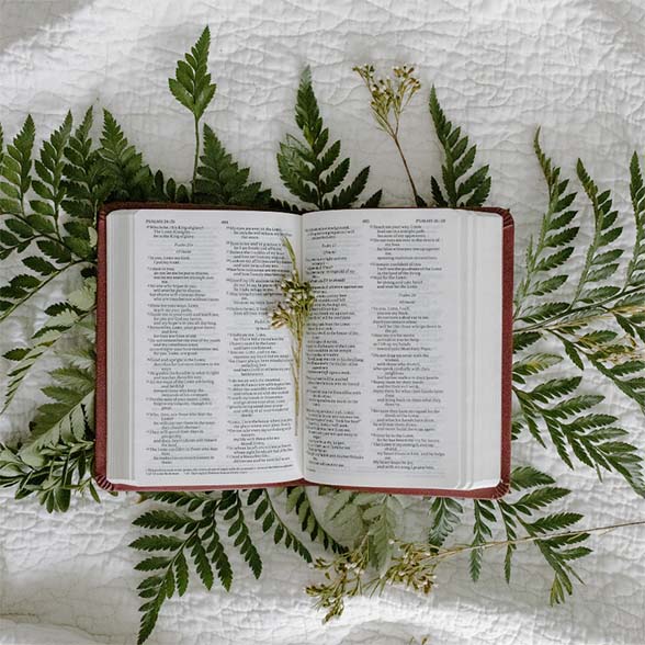 Picture of an open Bible